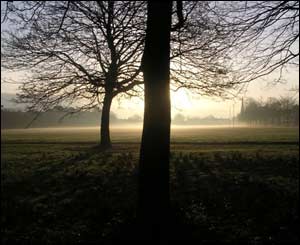 This photo of Roath Recreation Ground was taken by Margaret Salt early one morning on her way to work