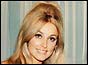 Sharon Tate