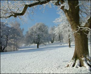 Catherine Meredith from Sketty took this shot of Singleton Park in Swansea in the snow