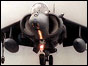 Harrier jump jet (PA)