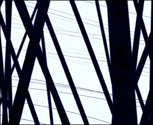 Haluk Akakce's Birth of Art (2002-03)