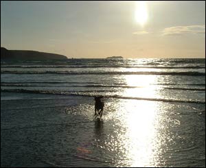 This picture of Maude splashing in the water was sent by Dawn Holloway