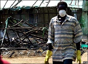 Volunteer looking for dead bodies.