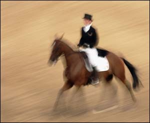 Ireland's Edmond Gibney on Kings Highway