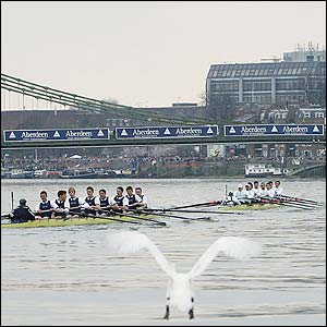 Cambridge and Oxford race near Hammersmith Bridge