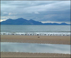 Marc Rees Jones captured these birds enjoying the view of Yr Eifl