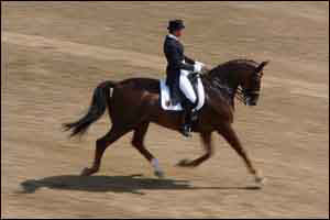 Ulla Salzgeber competes in the team dressage event