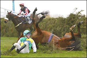 Jockey David Casey parts company with Hedgehunter at the last fence whilst in the lead
