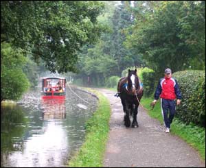 Susan Powell took this picture of a horse-drawn barge in Llangollen while on a visit from San Diego
