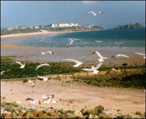 Taken from Penally beach - looking through to Tenby (Maureen Fleming, from West Yorkshire)