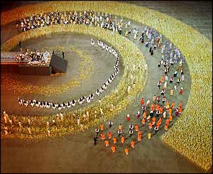 Wheat fields are formed 