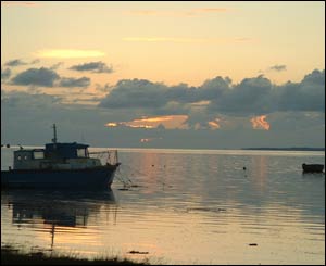 Looking from Penclawdd car park, north Gower, during high tide (Liam Brown) 