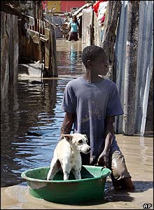 A Haitian boy takes his dog out on a bucket in Gonaives, where flood waters are waist-deep in some areas