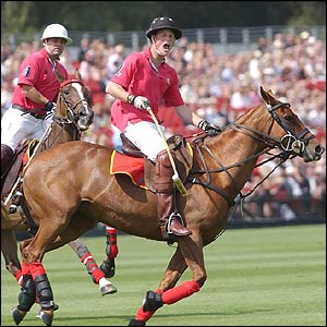 Prince Harry plays polo
