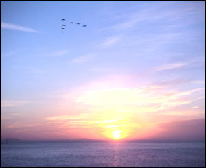 Sunrise looking out over the Bristol Channel from Porthkerry beach in Barry, sent in by Gareth Lockyer