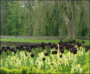 Dave Conquer, from Pontypridd, took this picture at Aberglasney gardens near Llandeilo