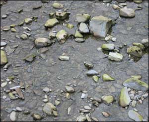 The rocky bed of Afon Ystwyth taken at Hafod (Vincent Grant, Cwmbelan, Llanidloes) 