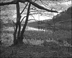 This moody image of Talley Lakes was taken by Samantha Inglis