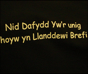 A Llanddewi-Brefi T-Shirt