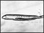 BOAC Comet airliner