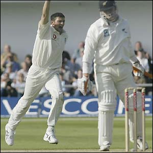 Steve Harmison celebrates his second wicket as New Zealand are reduced to 263-5