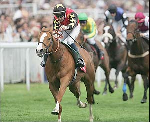 20-1 shot Caribbean Coral wins the Vodafone 'Dash' Stakes 