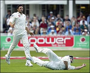 Steve Harmison and Andrew Strauss