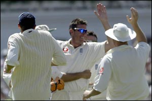 Ashley Giles celebrates with his team-mates