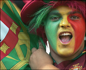 Portugal fan