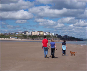 Gareth, Donna and Rebecca take Pepe the dog for a walk on Tenby's South Beach (Glen Donnachie)