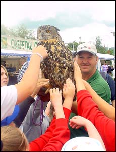 European eagle owl