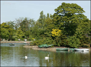 Saltwell Lake