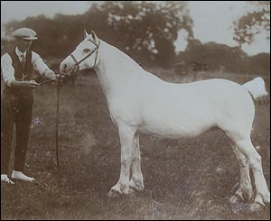 Dr Wynne's father Evan Samuel Davies at the 1928 show in Wrexham
