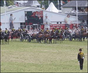 The King's Troop Royal Horse Artillery