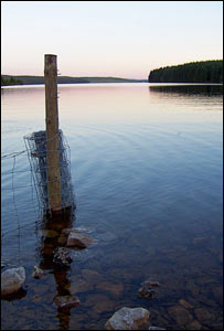 Dusk over Llyn Brenig in north Wales, from Manchester student Eryl Jones, who is originally from Denbigh
