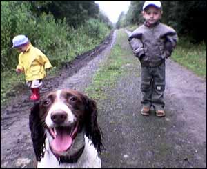 A wet summer walk in Penllergaer Forest, Swansea, with Hannah, Matthew and Meg the dog (Kerry Davies)