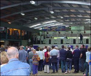 Sheep shearing pavilion