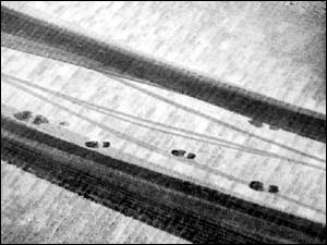 Photo by Agnieszka Skrzypek