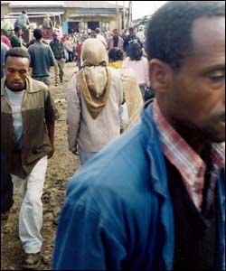 Photo by David Kirba