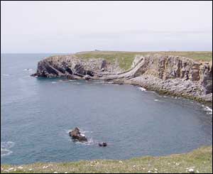 A fault on the cliffs of the military range near Liney Head (Dave Perry)
