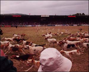 Andrew Goldsworthy took this on the last day of the Royal Welsh Show