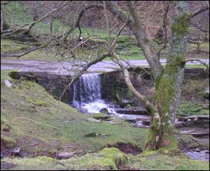 Paula Hall took this picture of a waterfall on the way down from Hay Bluff north of Hay-on-Wye 