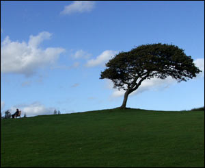 Llys-Y-Fran country park, Pembrokeshire (Colin Riddle)