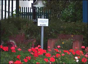 Arm chairs used as planters