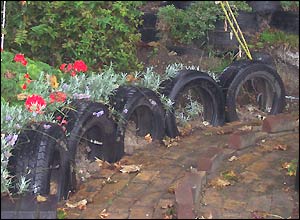 Tyres in garden