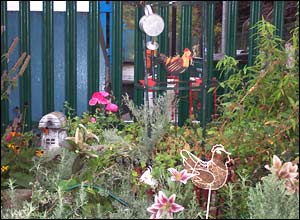 The first part of the garden to be planted