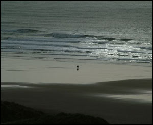 Freshwater West, Pembrokeshire (name not supplied)