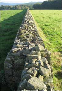 Matt Batchelor from Chepstow snapped this wall at Llandogo in Monmouthshire