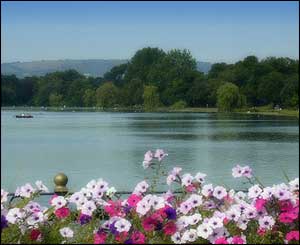 Overlooking Roath Park in Cardiff, by Lee Canning 