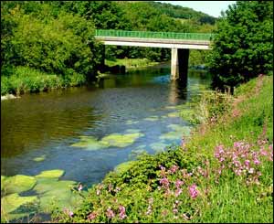 A river running through Aberystwyth (Mike Thomas)